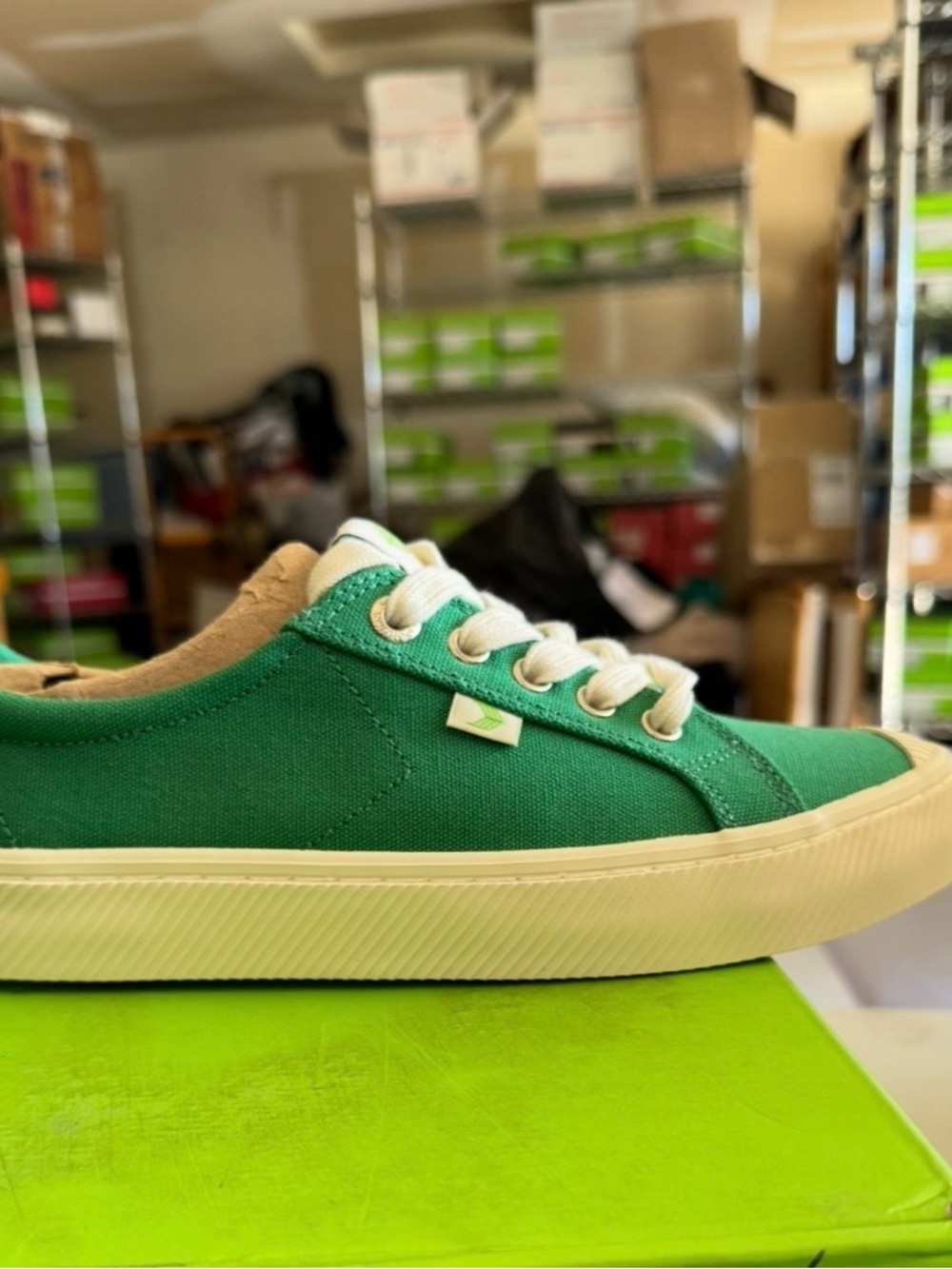 Cariuma Low-Top Sneakers in Off-White with Black Logo - Picture 6 of 10